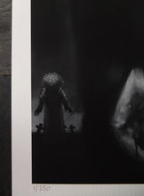 Load image into Gallery viewer, Reborn - Ltd Ed A3